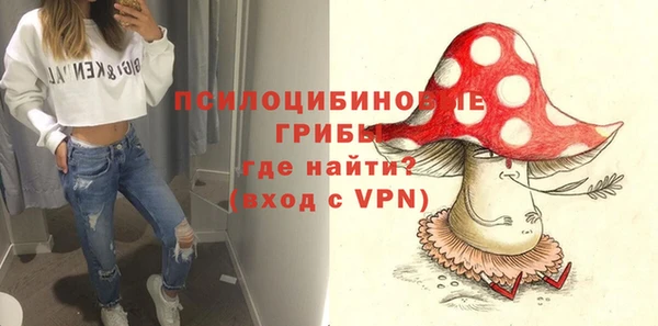 прущие крисы Балахна