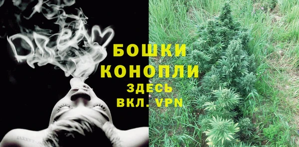 прущие крисы Балахна