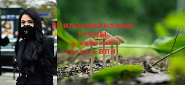 прущие крисы Балахна